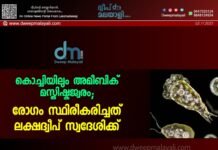 കൊച്ചിയിലും അമീബിക് മസ്തിഷ്കജ്വരം; രോഗം സ്ഥിരീകരിച്ചത് ലക്ഷദ്വീപ് സ്വദേശിക്ക്