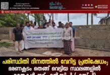 പരിസ്ഥിതി ദിനത്തിൽ വേറിട്ട പ്രതിഷേധം; ഭരണകൂടം തെങ്ങ് വെട്ടിയ സ്ഥലങ്ങളിൽ തൈകൾ നട്ട് എൻ.സി.പി (എസ്.പി)