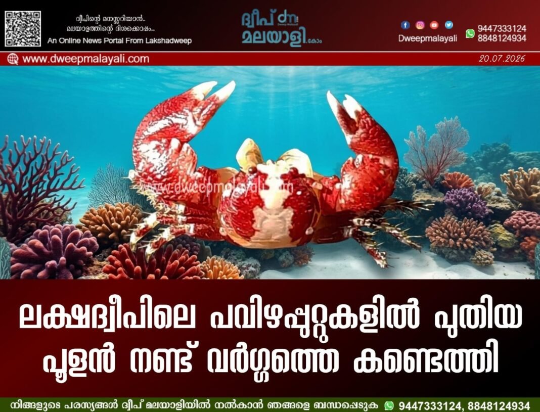 IMG-20260720-WA1557
