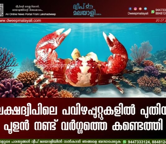 ലക്ഷദ്വീപിലെ പവിഴപ്പുറ്റുകളിൽ പുതിയ പൂളൻ നണ്ട് വർഗ്ഗത്തെ കണ്ടെത്തി