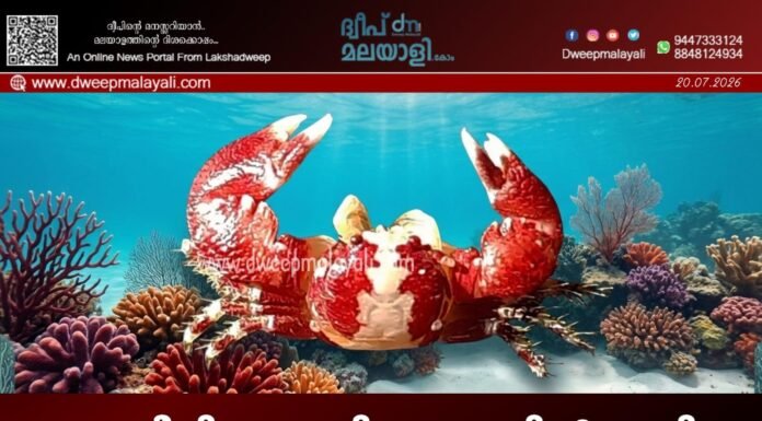 ലക്ഷദ്വീപിലെ പവിഴപ്പുറ്റുകളിൽ പുതിയ പൂളൻ നണ്ട് വർഗ്ഗത്തെ കണ്ടെത്തി
