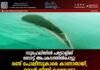 സുഹേലിയിൽ പട്രോളിങ് ബോട്ട് അപകടത്തിൽപ്പെട്ടു: രണ്ട് പൊലീസുകാരെ കാണാതായി, ഒരാൾ നീന്തി രക്ഷപ്പെട്ടു