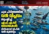ചൂര പിടിത്തത്തിൽ വൻ വിപ്ലവം സൃഷ്ടിച്ച് എഫ്.എ.ഡി ബോയകൾ; മിനിക്കോയ് ദ്വീപിൽ വൻ മുന്നേറ്റം