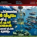 ചൂര പിടിത്തത്തിൽ വൻ വിപ്ലവം സൃഷ്ടിച്ച് എഫ്.എ.ഡി ബോയകൾ; മിനിക്കോയ് ദ്വീപിൽ വൻ മുന്നേറ്റം