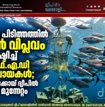 ചൂര പിടിത്തത്തിൽ വൻ വിപ്ലവം സൃഷ്ടിച്ച് എഫ്.എ.ഡി ബോയകൾ; മിനിക്കോയ് ദ്വീപിൽ വൻ മുന്നേറ്റം