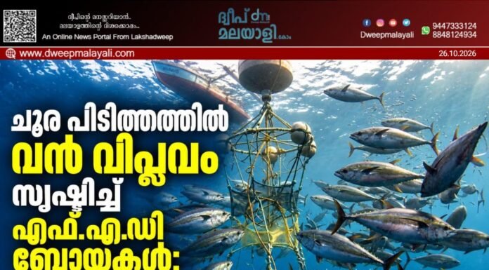ചൂര പിടിത്തത്തിൽ വൻ വിപ്ലവം സൃഷ്ടിച്ച് എഫ്.എ.ഡി ബോയകൾ; മിനിക്കോയ് ദ്വീപിൽ വൻ മുന്നേറ്റം